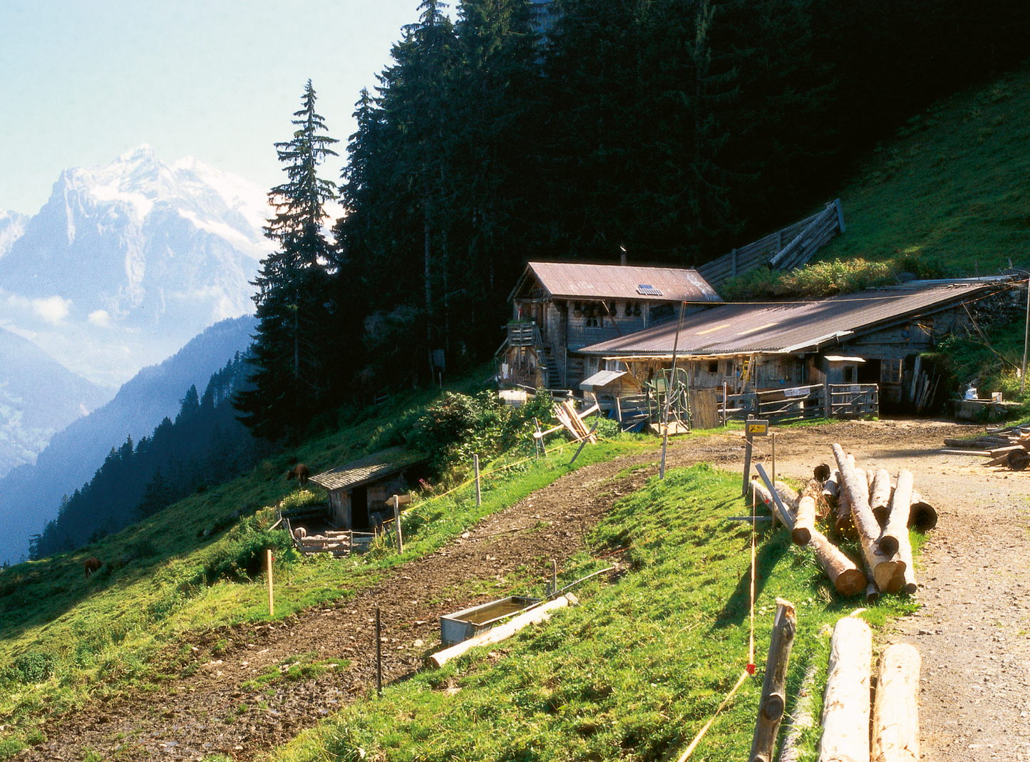 Alp Spätenen
