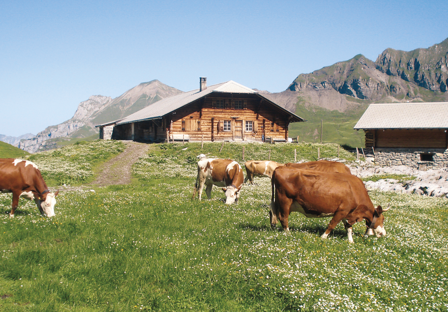 Alp Hohkien