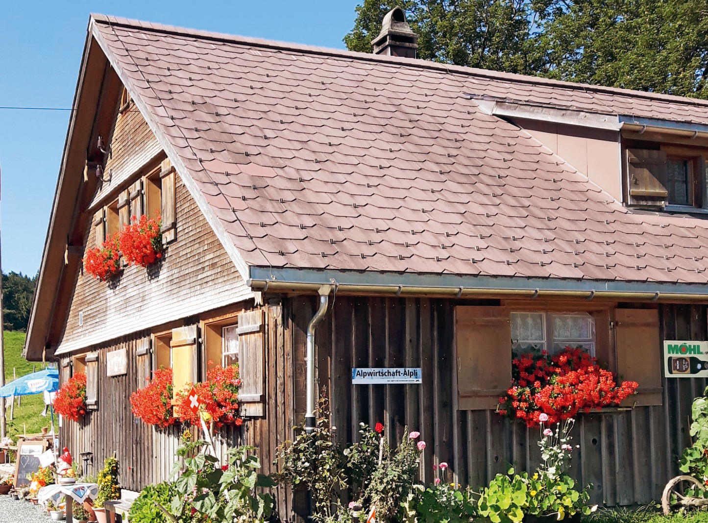 Alpwirtschaft Älpli