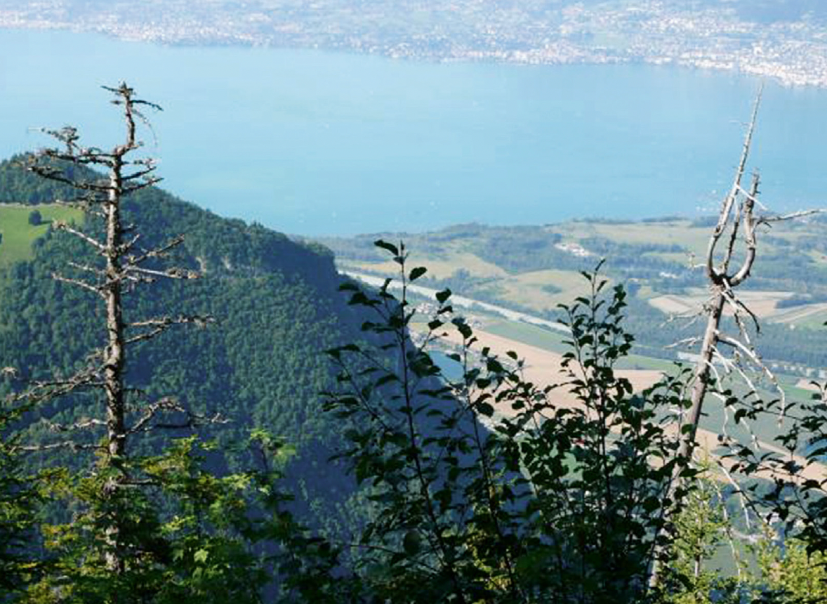 Alpage de Chalavornaire