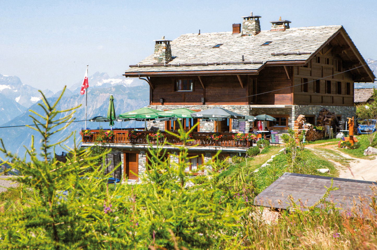 Chalet des Alpes