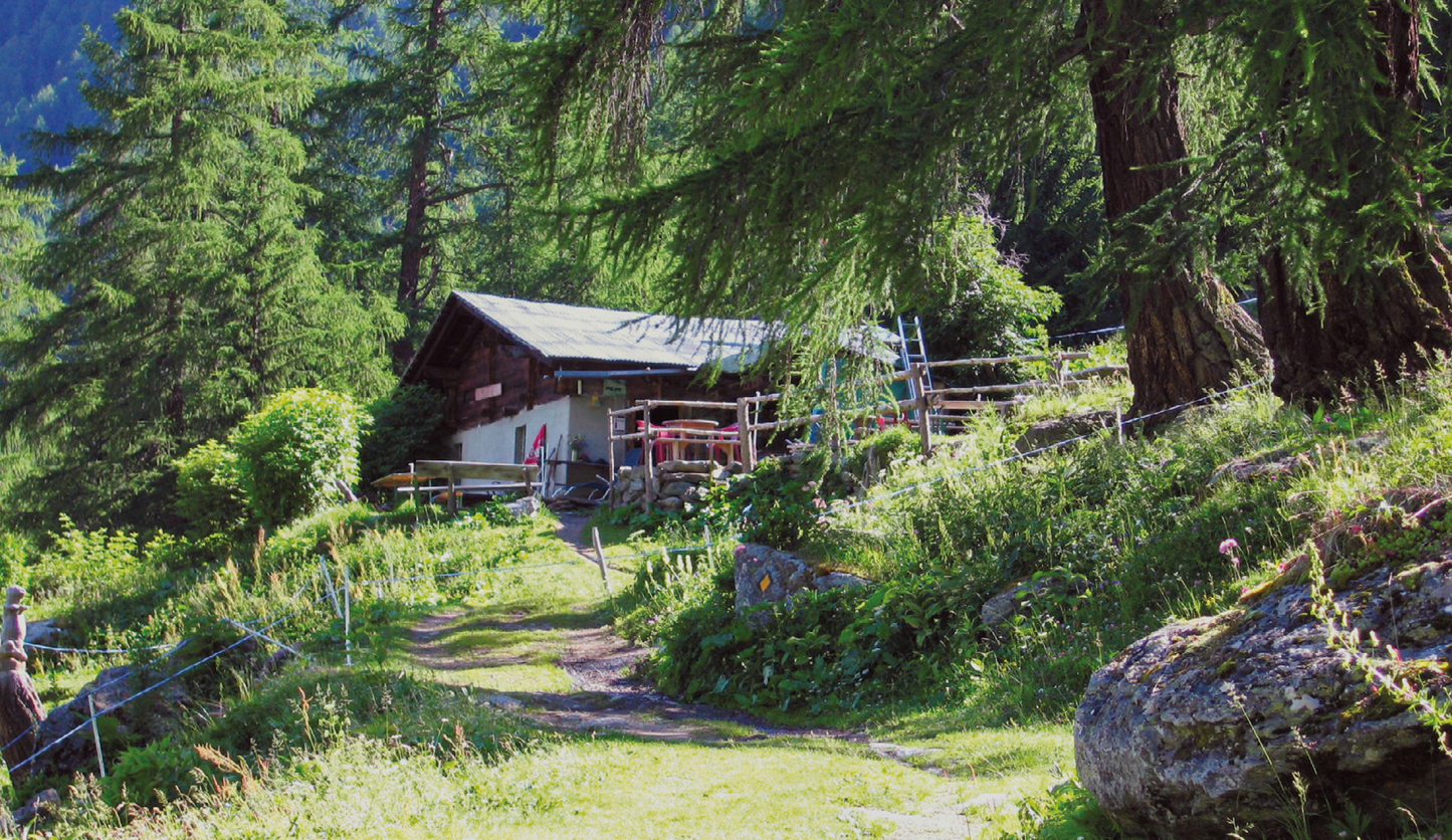 Buvette de La Lé du vallon de Réchy