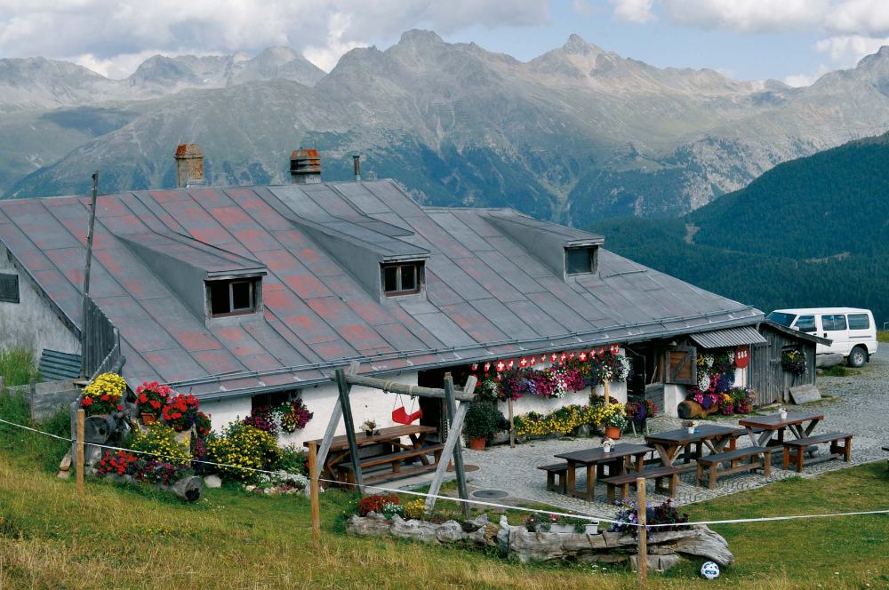 Alp Giop