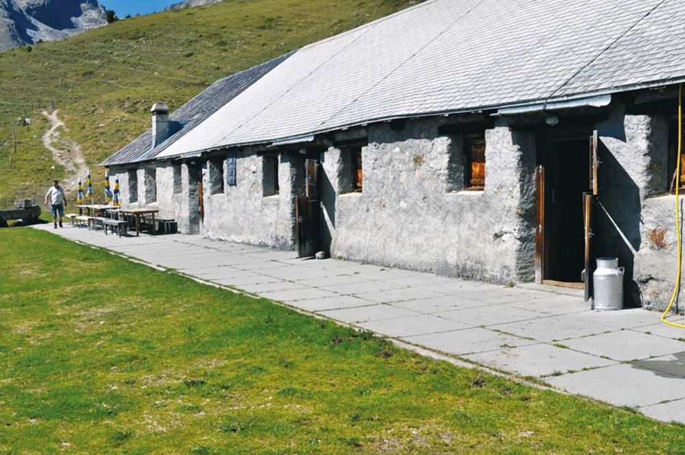 Alp Muntatsch