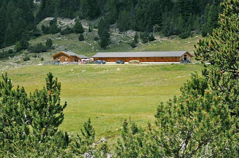 Alp Champatsch