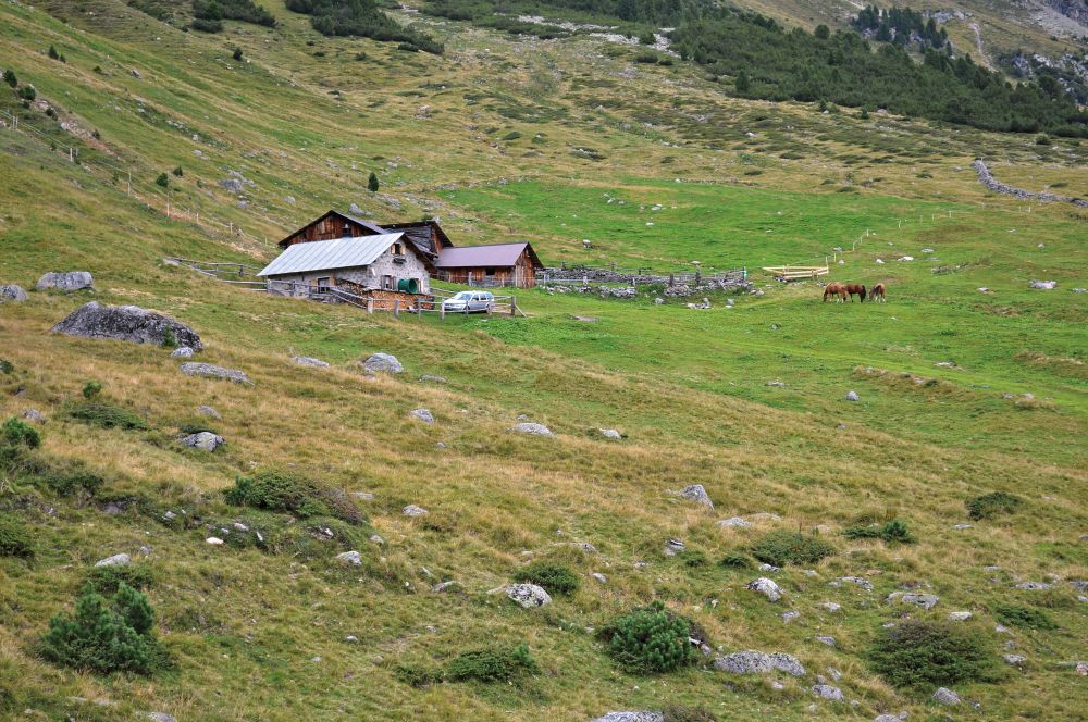 Alp Plazer