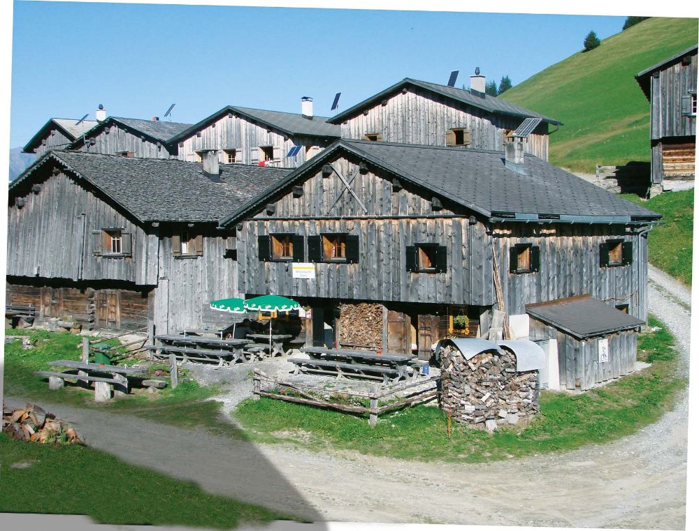 Alp Stams