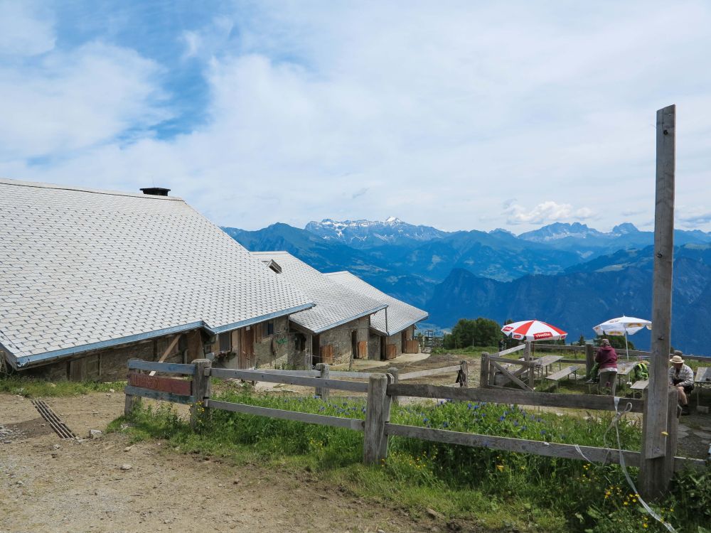 Hintere Alp