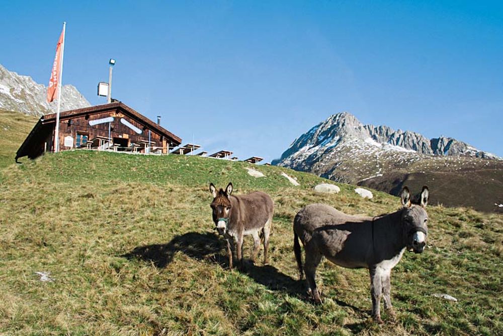Alp Las Palas