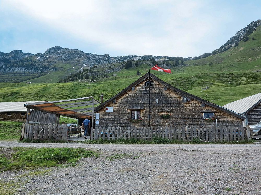 Alp Strichbode