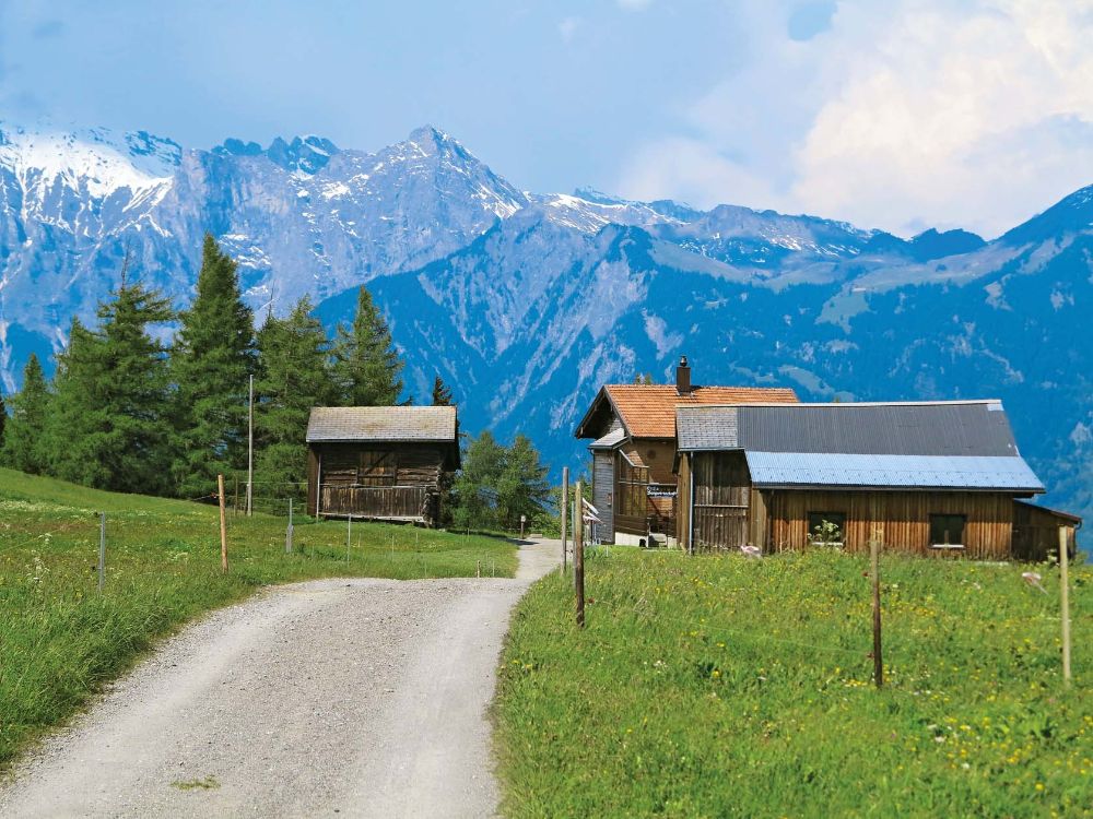 Stefis Bergwirtschaft
