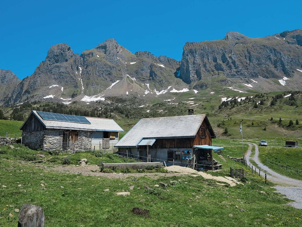 Alp Palfries