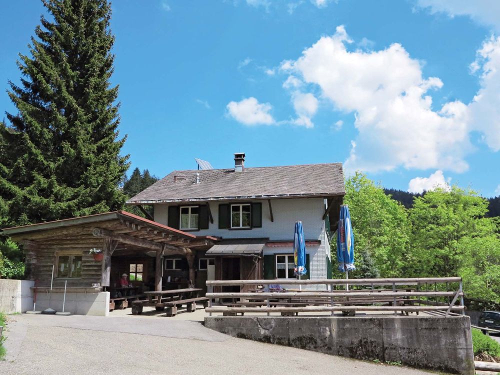 Alp Kohlschlag
