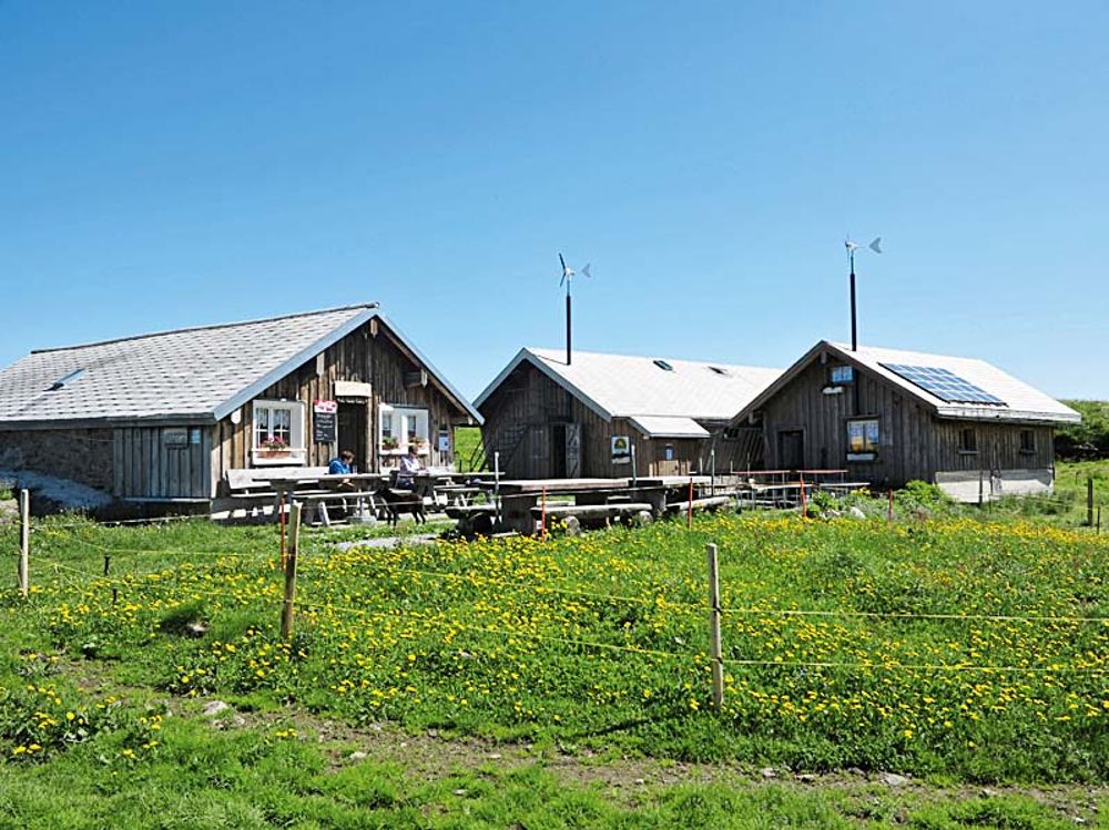 Alp Selun