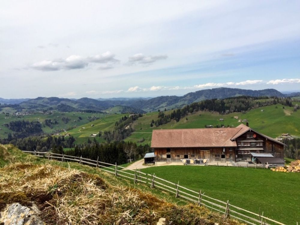 Alpwirtschaft Under Chapf