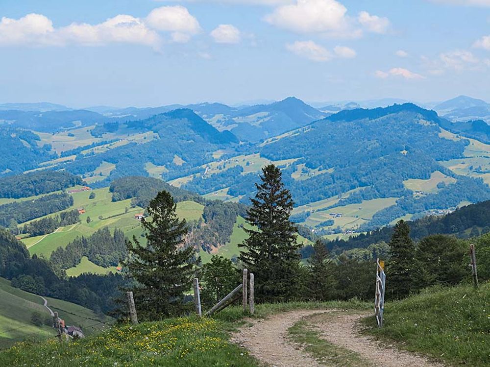 Alp Schwämmli