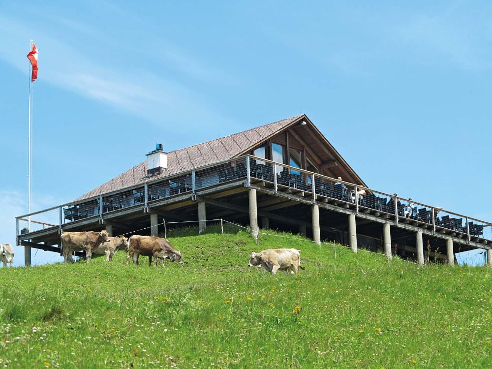 Bergrestaurant Hochhamm