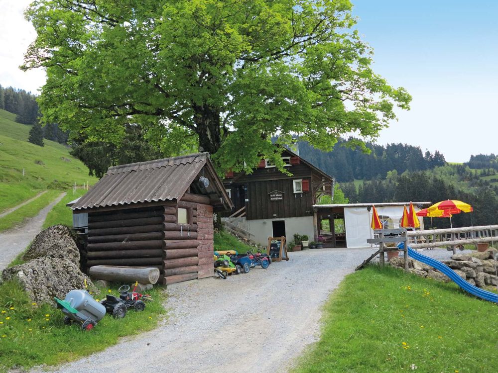 Alp Kohlwald