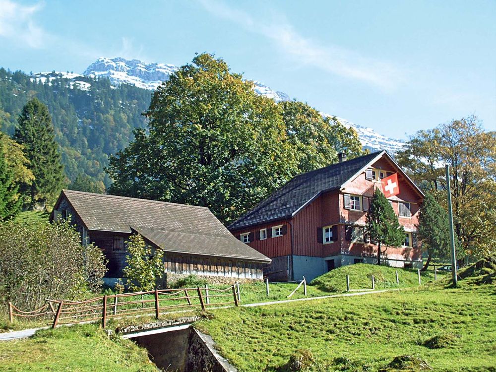 Alp Vorderwängi