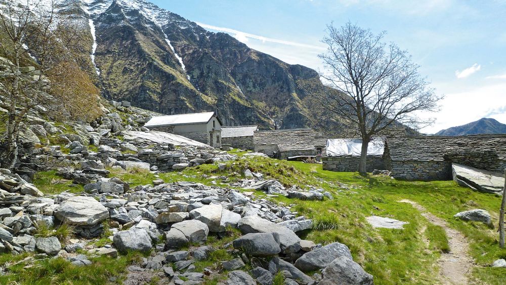 Alpe Bardughe