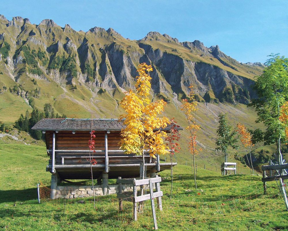 Alp Imbrig