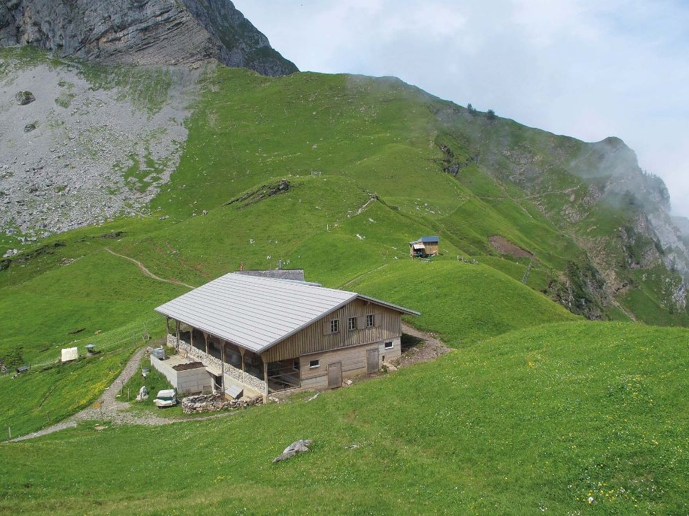 Alp Oberfeld