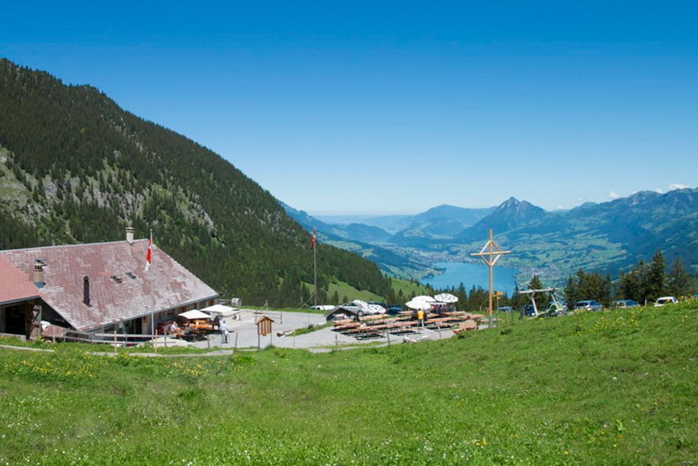 Fluonalp