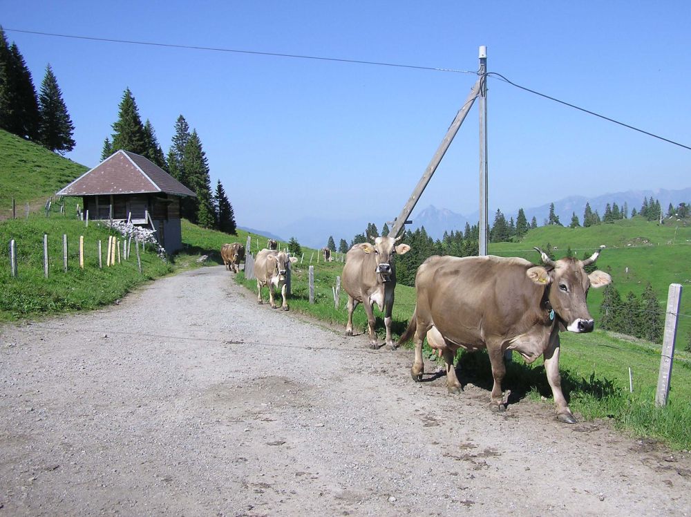 Alp Glaubenbielen