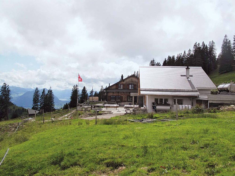 Alp Chäserenholz