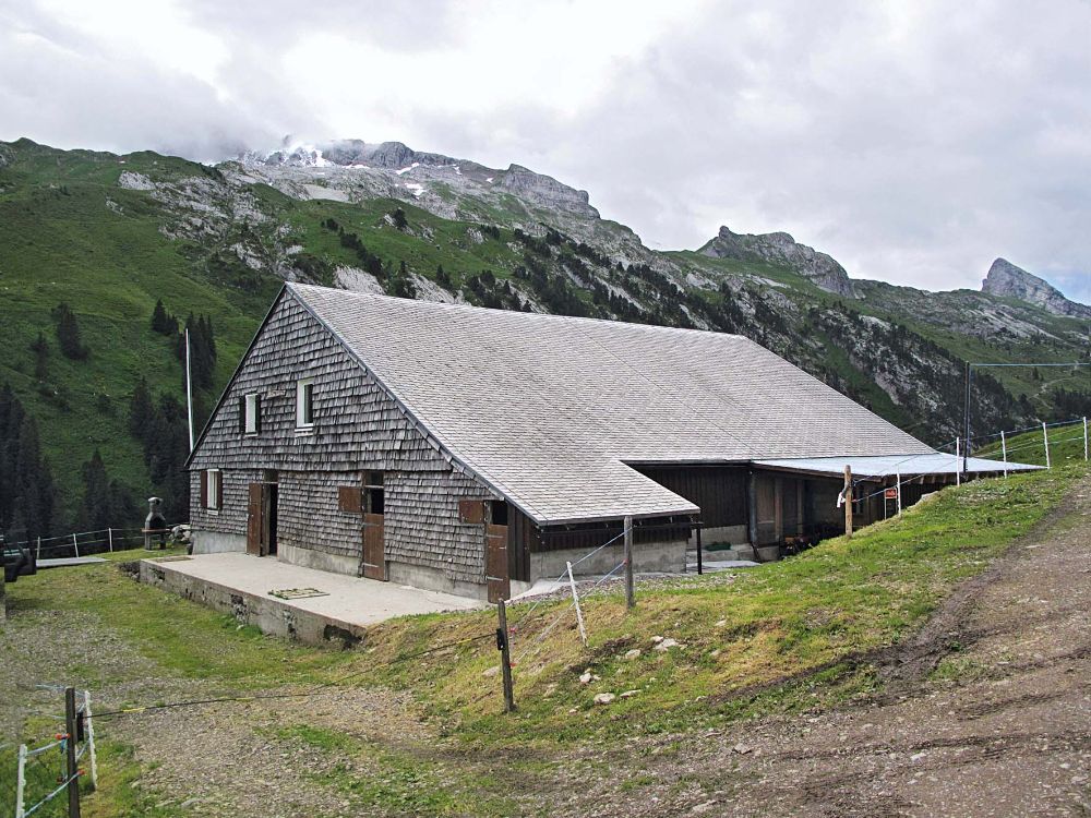 Alp Goldplangg