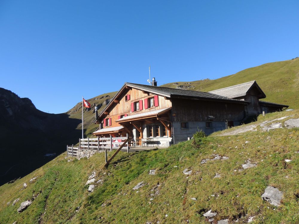 Alp Laui
