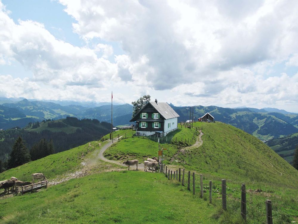 Alp Wildegg