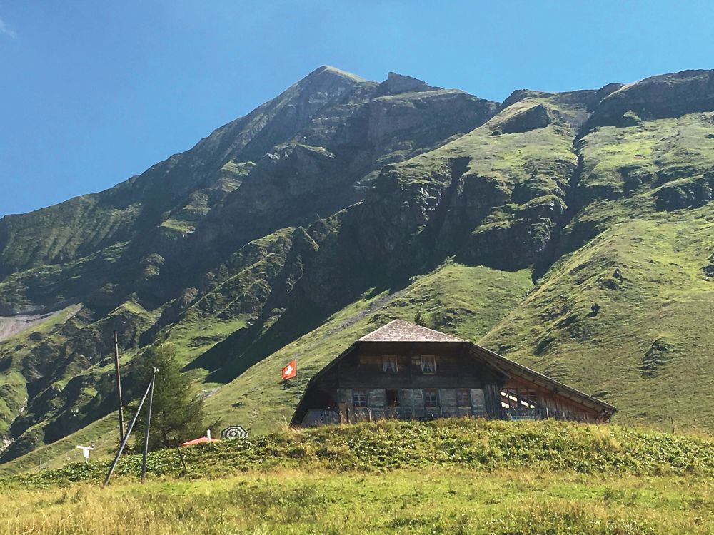 Alp Tannisboden