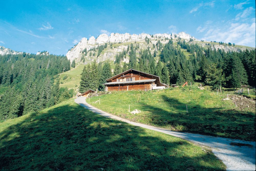 Alp Oberhofnerberg