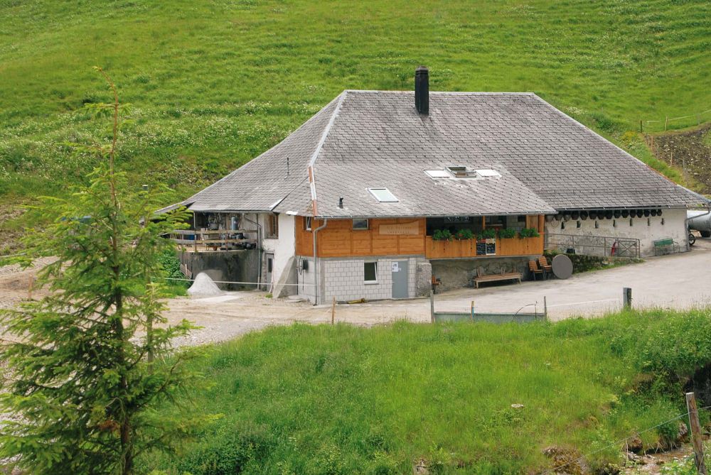 Alp Langenegg