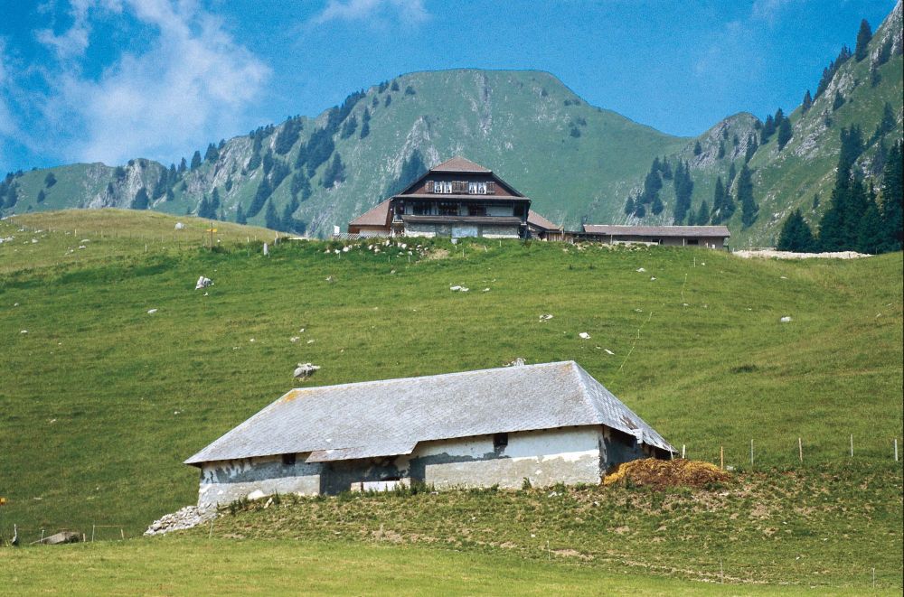 Alp Mattenberg