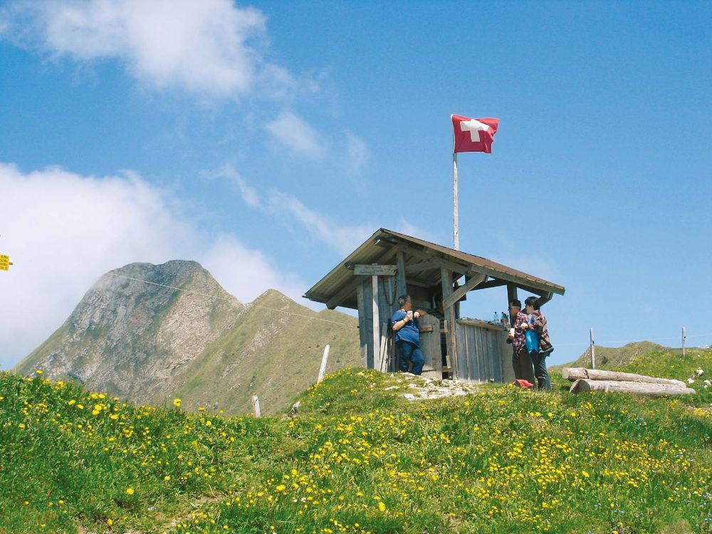 Alp Obrist Morgeten