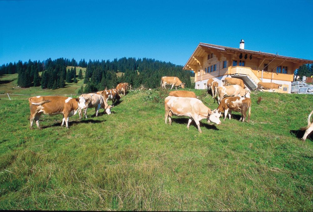 Lombachalp