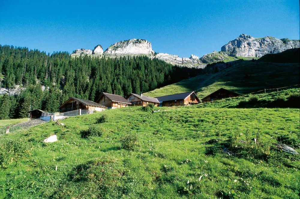Alp Hintisberg-Oberläger
