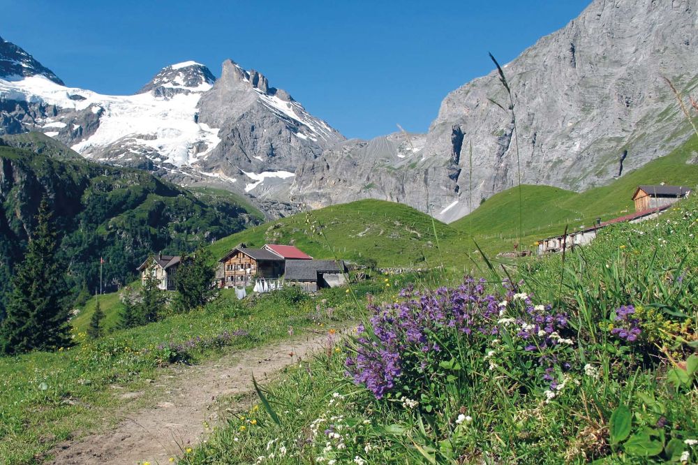 Alp Obersteinberg