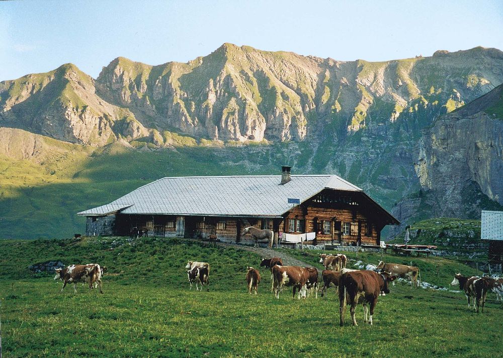 Alp Hohkien