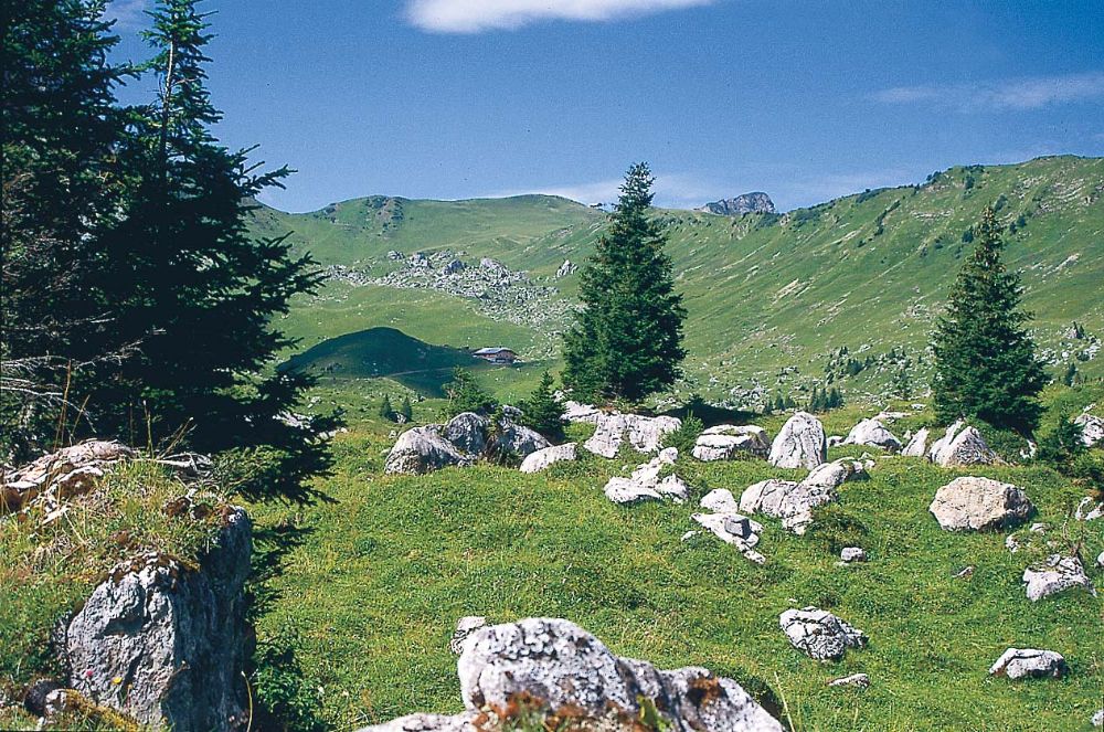 Alp Lurnig-Bütschi