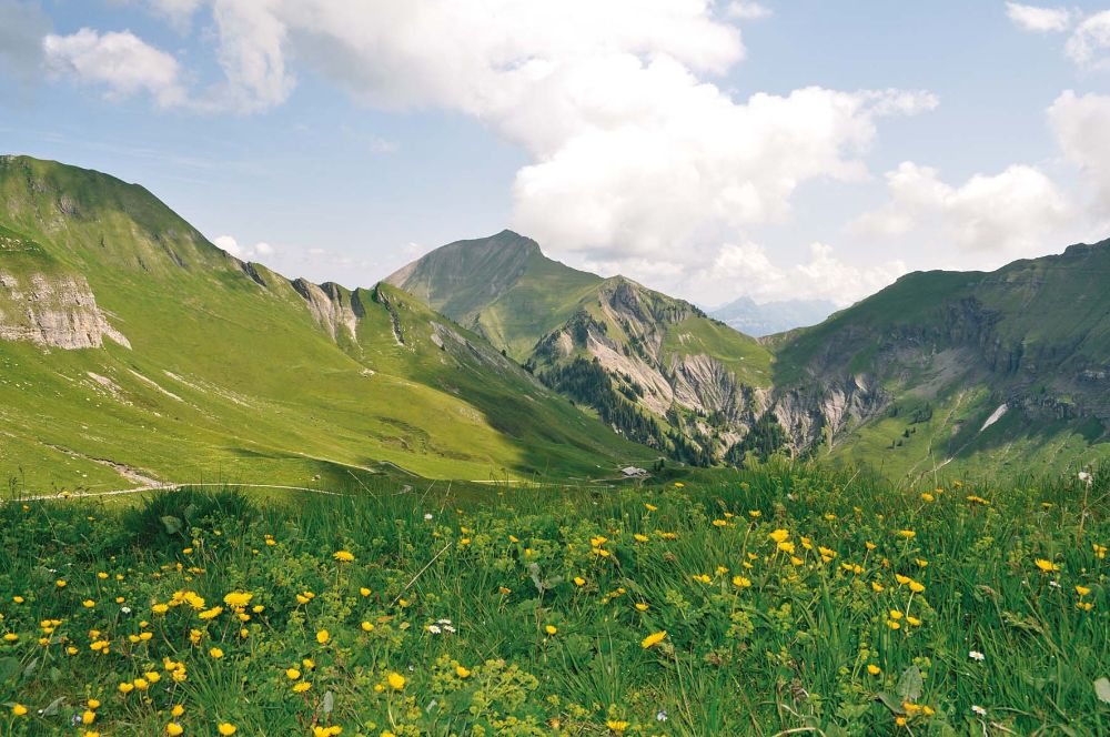 Alp Latreyenfeld