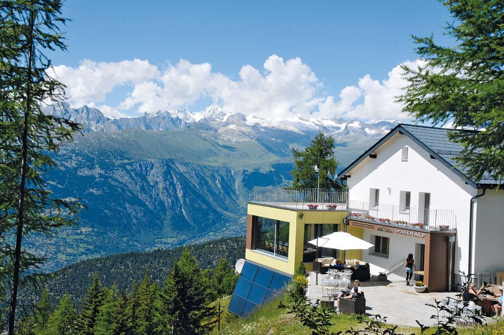 Wasenalp