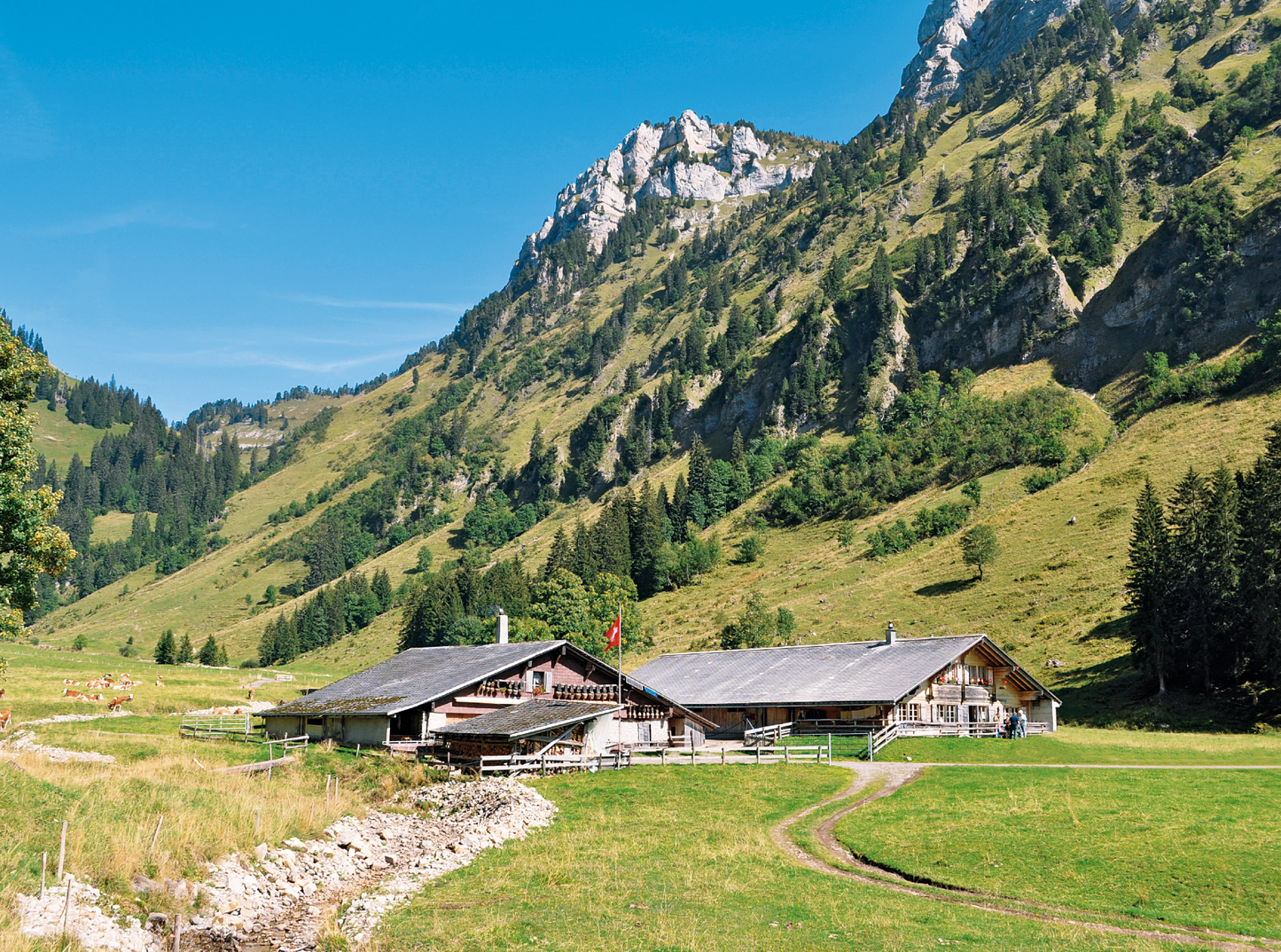 Alp Gross Mittelberg