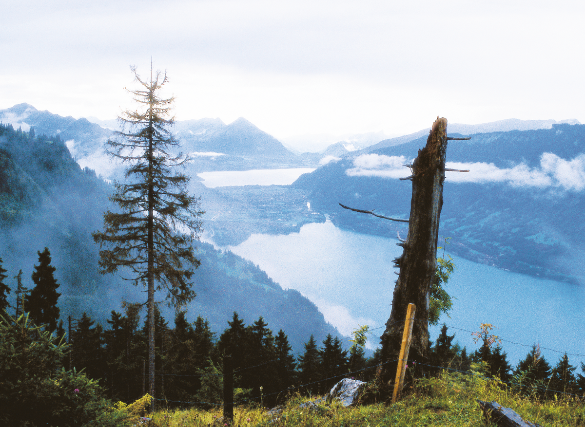 Walthard Rests Man Bättenalp-Walthard – Alpbeizli Führer