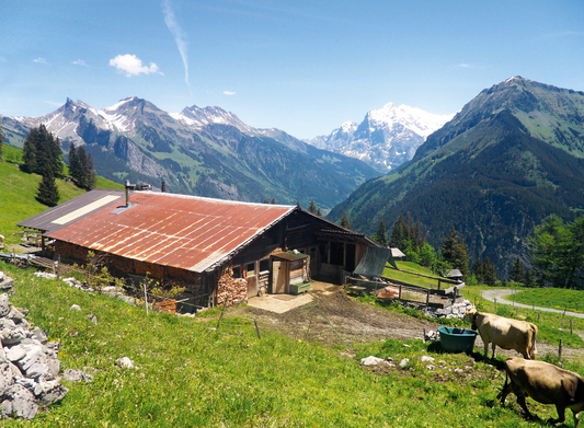 Mäderalp