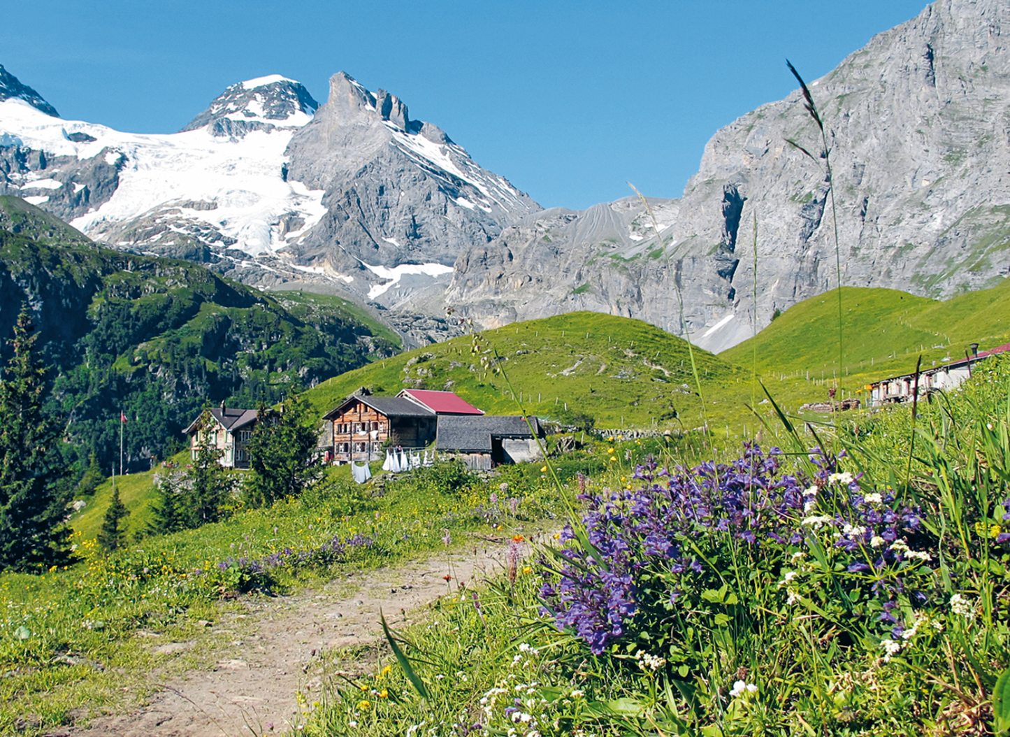 Alp Obersteinberg