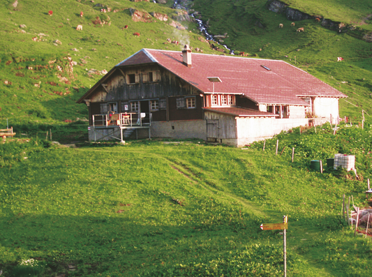 Alp Tschingelfeld-Oberberg