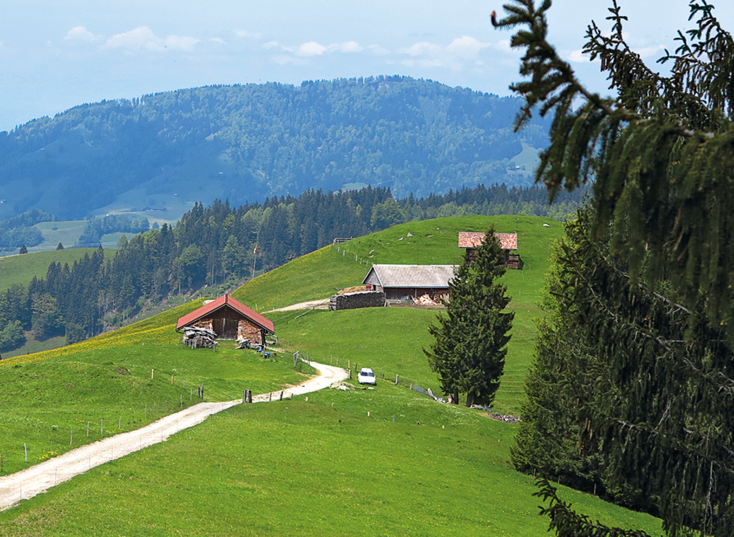 Alpwirtschaft Under Chapf